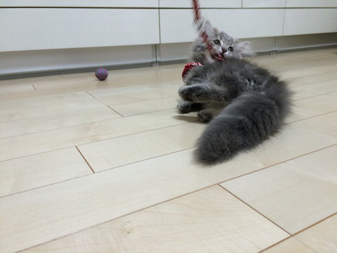 r_IMG_1975.jpg