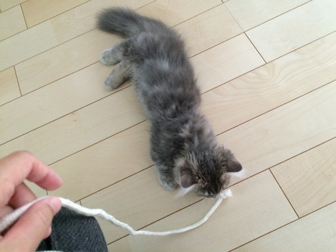 r_IMG_2552.jpg