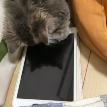 r_IMG_2601.jpg