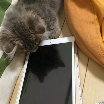 r_IMG_2603.jpg