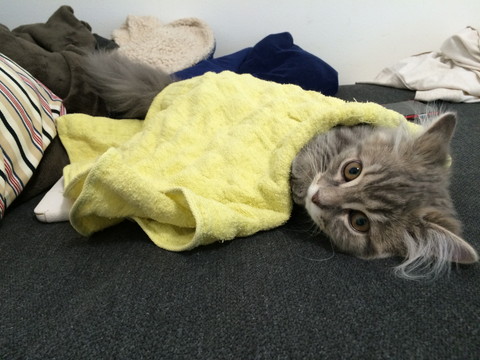 r_IMG_2884.jpg