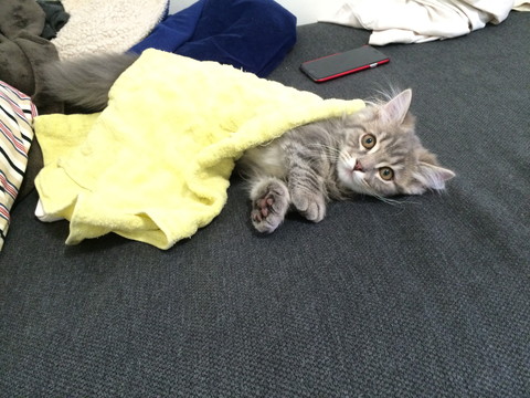 r_IMG_2885.jpg