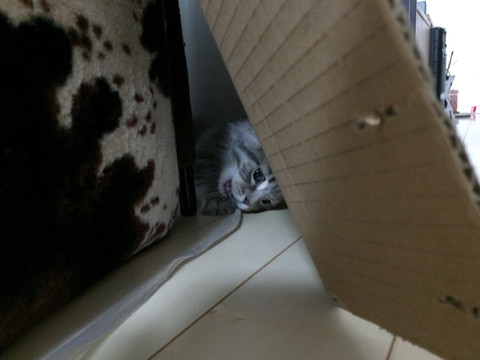 r_IMG_2991.jpg