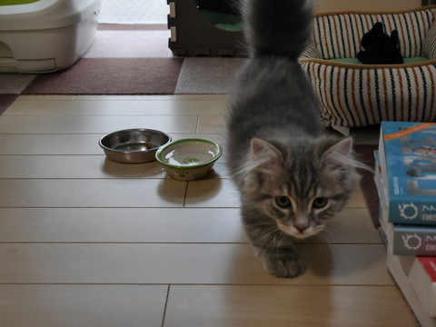 r_P1000132.jpg