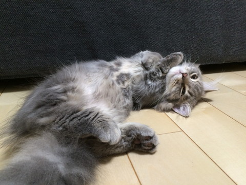 r_IMG_3537.jpg