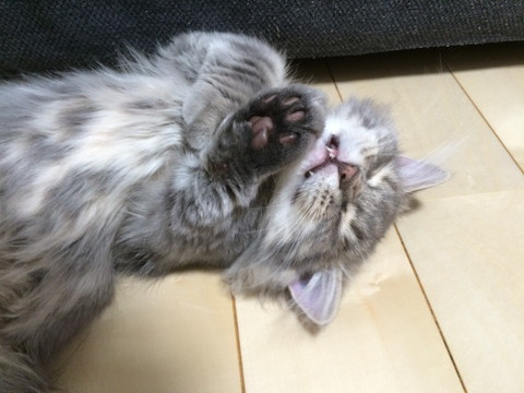 r_IMG_3540.jpg