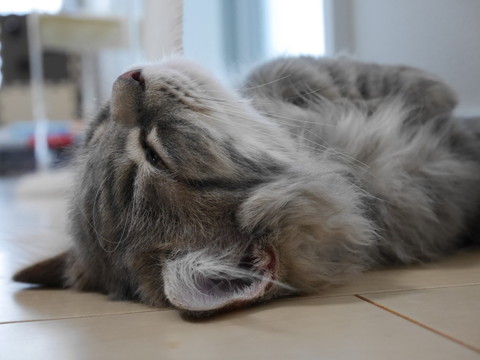 r_P1000140.jpg