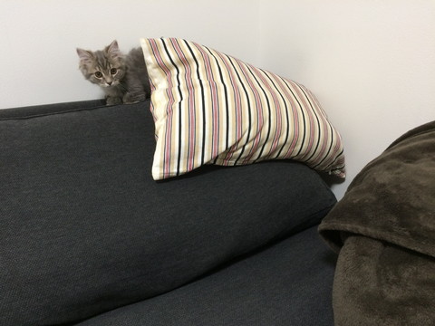r_IMG_3559.jpg