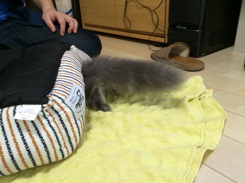 r_IMG_3659.jpg