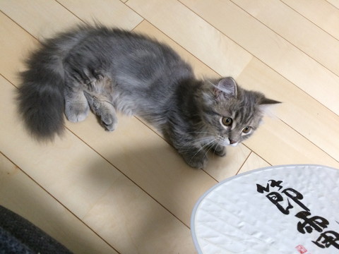 r_IMG_3883.jpg
