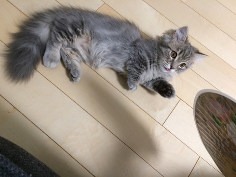 r_IMG_3884.jpg