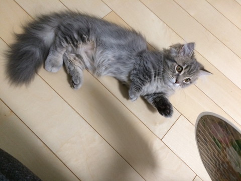 r_IMG_3885.jpg