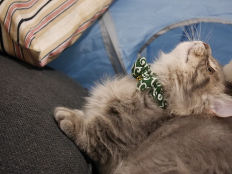 r_P1000292.jpg