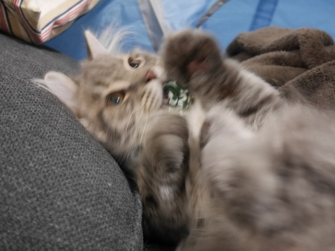 r_P1000294.jpg