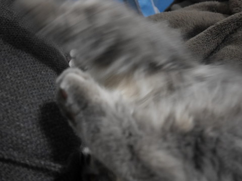 r_P1000295.jpg