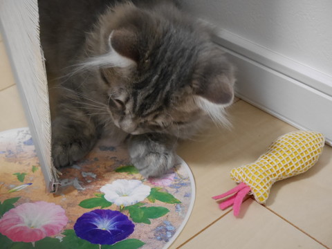 r_P1000323.jpg