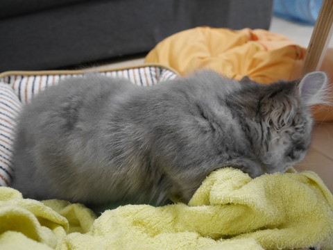 r_P1000422.jpg