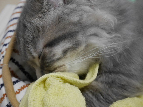 r_P1000424.jpg