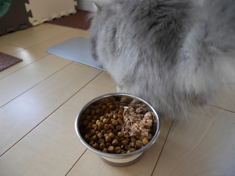 r_P1000539.jpg