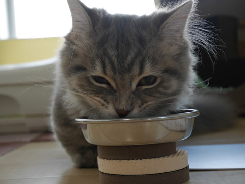 r_P1000556.jpg