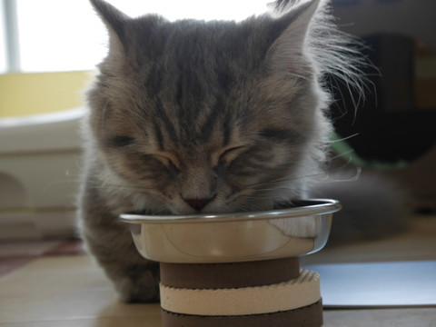 r_P1000558.jpg