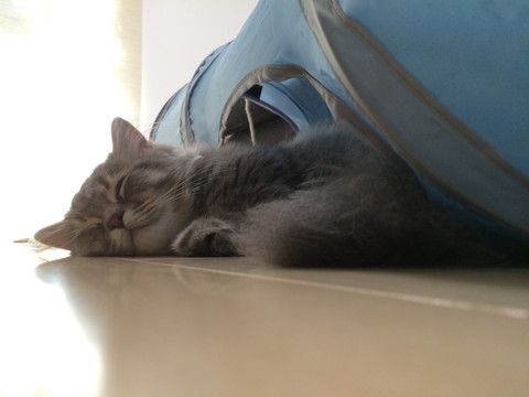 r_IMG_4114.jpg