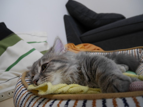 r_P1000674.jpg