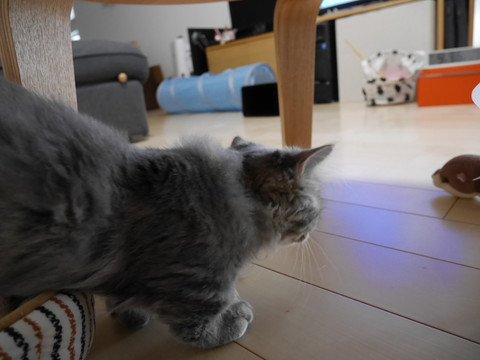 r_P1000696.jpg
